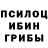 Галлюциногенные грибы Psilocybine cubensis Oberon 13.46